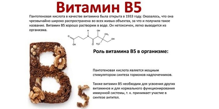 Роль витамина B5 в организме