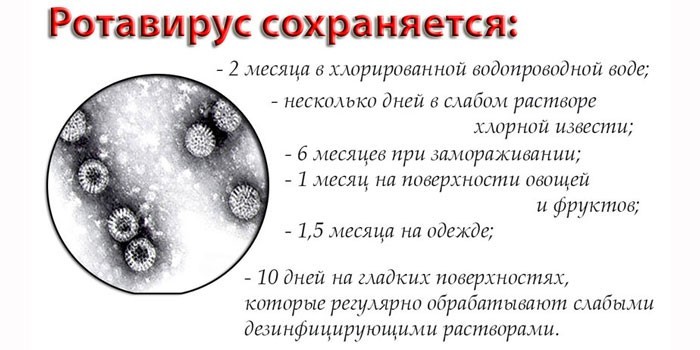 Характеристики ротавируса