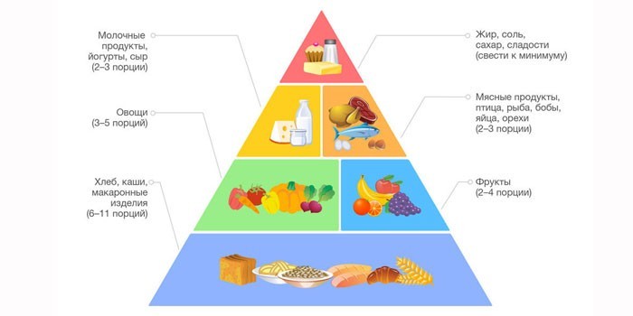 Пищевая пирамида