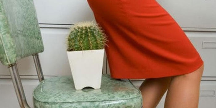 Девушка садится на кактус