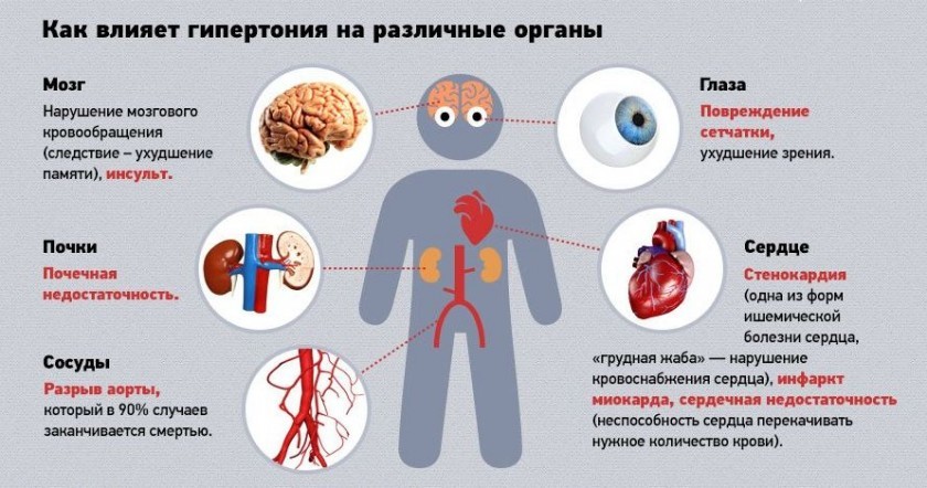 Влияние гипертонии на органы человека