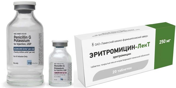 Пенициллин и Эритромицин 