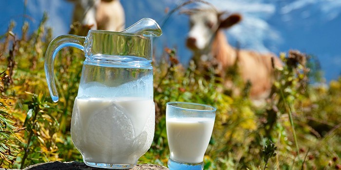 Молоко в кувшине и стакане