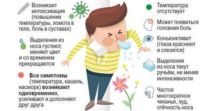 Симптомы аллергического насморка