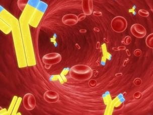 Что такое антитела в крови -  разновидности и показания к проведению анализа, норма и причины отклонений