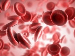 Гемолитическая анемия - причины возникновения, симптомы и диагностика
