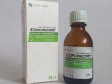 Хлорофиллипт для полоскания — показания к применению, как развести раствор, побочные эффекты и аналоги