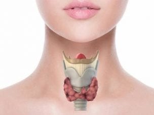 Как сдавать анализ на гормоны щитовидной железы - правила подготовки